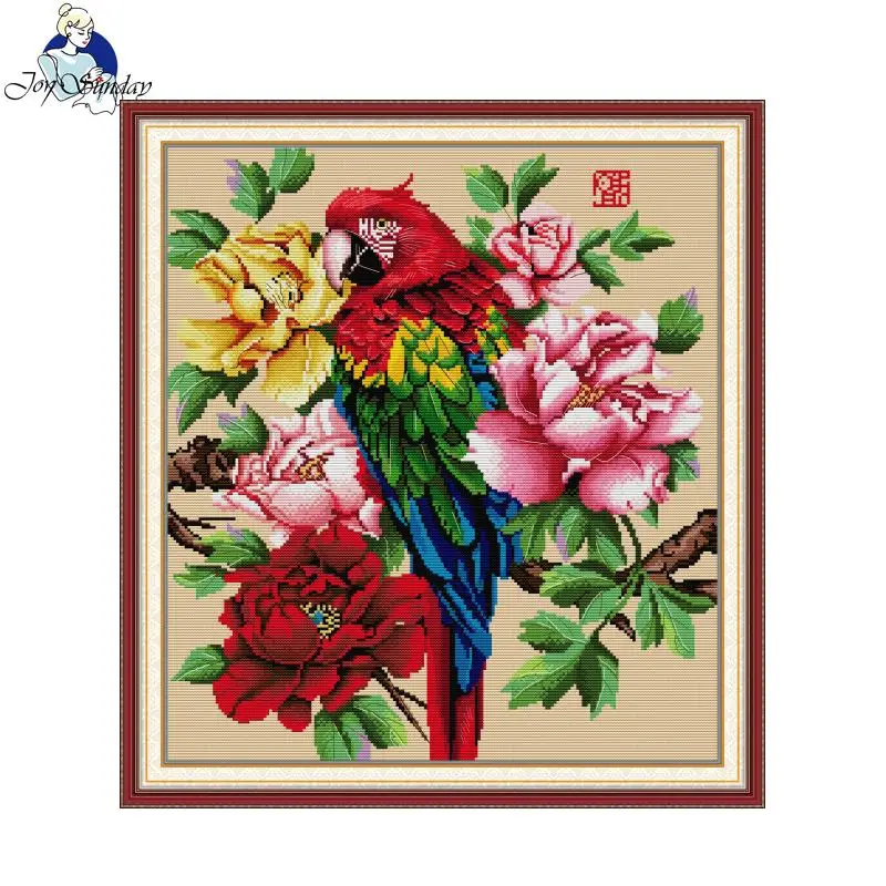 Sevinç pazar güzel papağan des - Embroidery Meaning incelemesi ve fiyatı